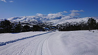 Looking back at Furedalen