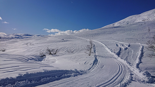 Excellent skiing trails in Steinskvanndalen!