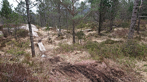 Mountain biking trail north from Hellemyrstien