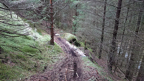 Mountain biking trail north of Hellemyrstien