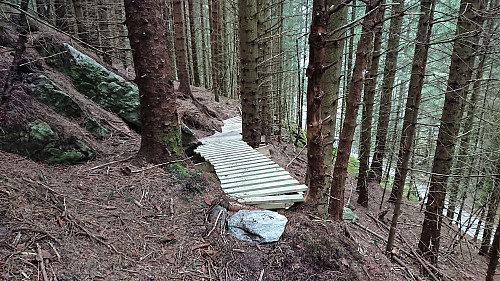Mountain biking trail north of Hellemyrstien. The road to Eidsvåg to the right.