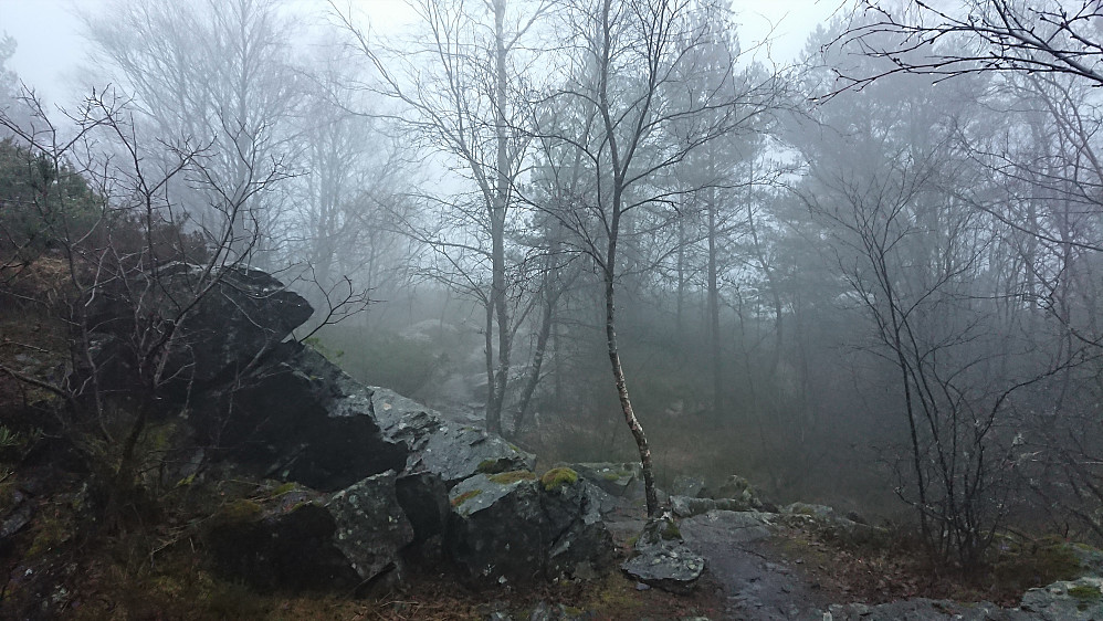 Approaching the summit of Ørneberget