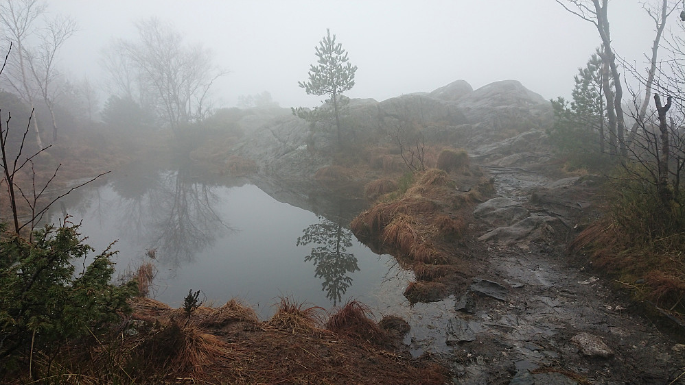 The summit of Ørneberget