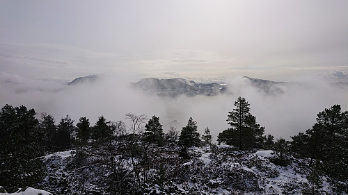 View from Ørneberget
