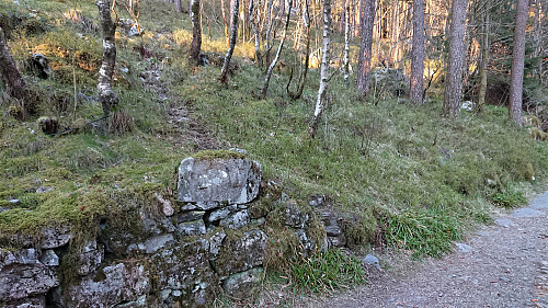Trail from Sandviksfjellet via Himplane reaching the gravel road in Skredderdalen
