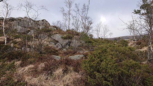 The location of Østerbøhytten?