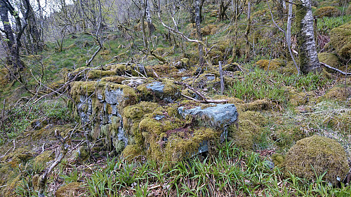 Smaller unnamed ruin northwest of Steinhytten (32V 6698472 300146)