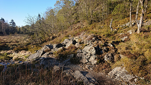 The ruins of Gyldenprishytten/Akevitten