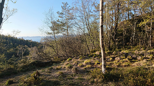 View from the ruins of Fjellheim