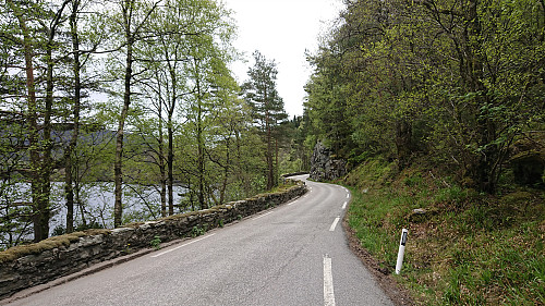 Vevatnevegen west of Vevatnet