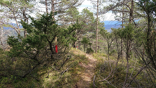 Marked trail from Kyrkjefjellet to Tuvefjellet
