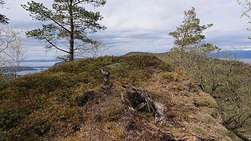 The summit of Tuvefjellet