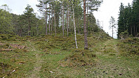 Trail to Kannikenuten to the left