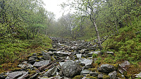 The ascent to Kviturhytten