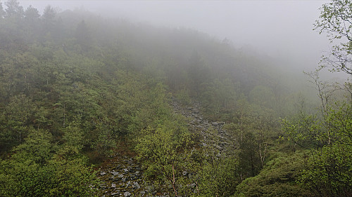 From south of the cabin towards the steep ascent to the north