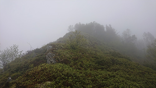 Ascending towards the old Blåmansveien