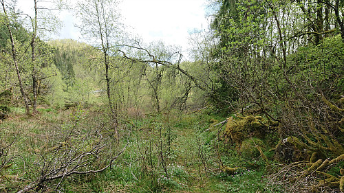 The "road" towards Maihaugen...