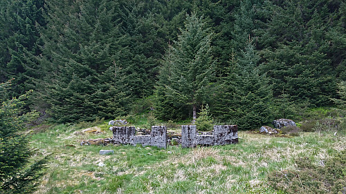 The ruins of Heniehytten