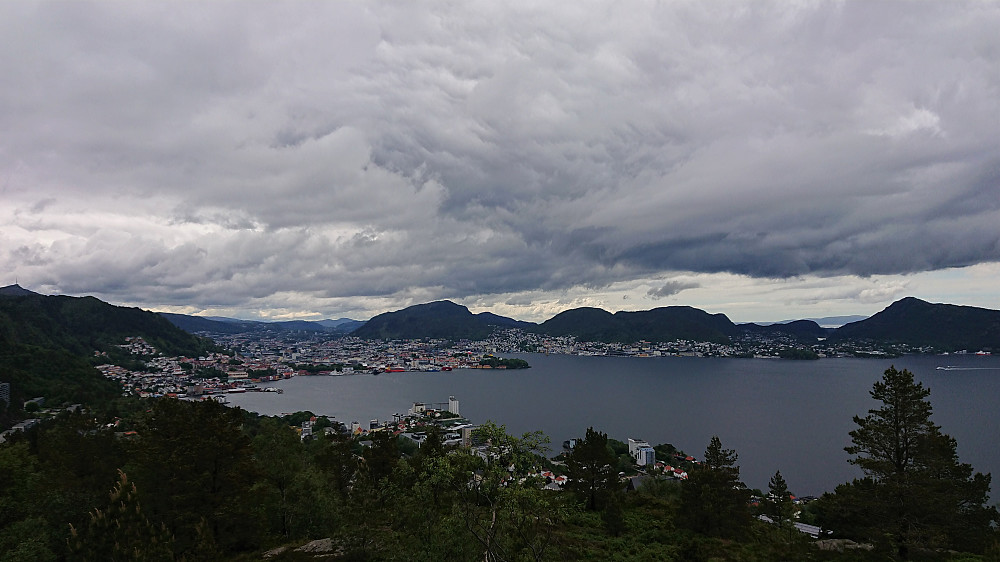 View towards the city center from Ørneberget