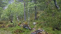 Marked trail towards Gråsida