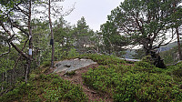 The summit of Litlefjellet