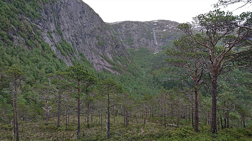 Towards Gråsida from the descent from Litlefjellet