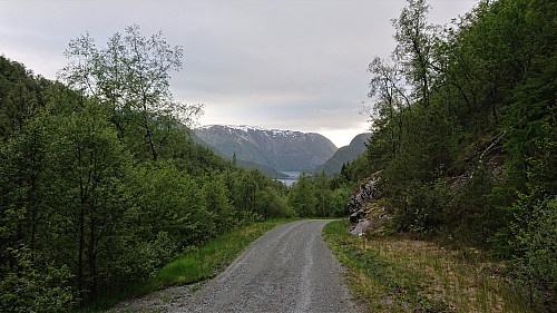 On the way to back down to Matre along the gravel road in Øvredalen