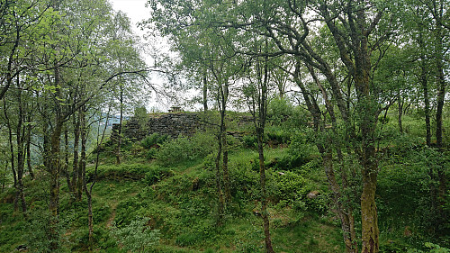 Café Knatten from the north