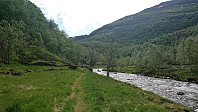 Marked trail NE from Herfindal
