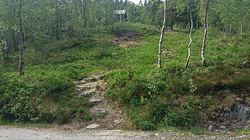 Start of the trail in the direction of Bjørsnipa