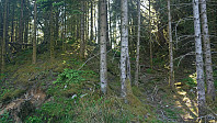 Start of my route to Vetlefjellet