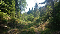 Tractor road towards Barmehovda