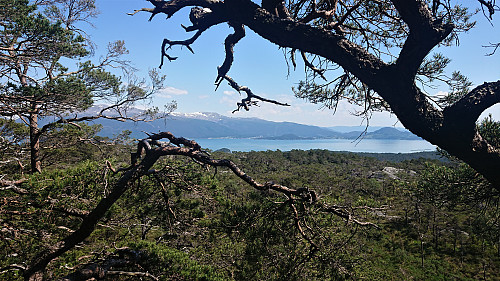 Southeast from (close to) the summit of Barmehovda