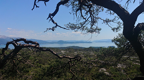 South from (close to) the summit of Barmehovda