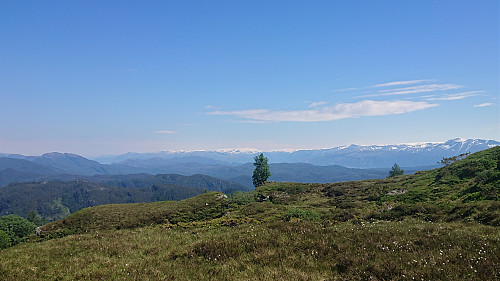 Towards Folgefonna from the descent from Etlådnefjellet
