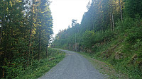 Gravel road towards Blåbærhaugen