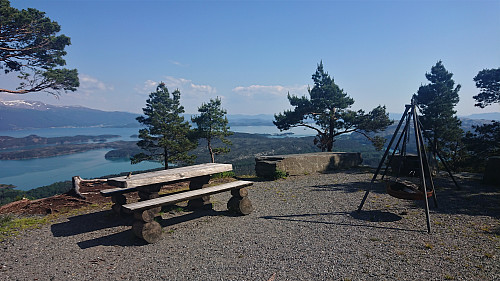 Blåbærhaugen
