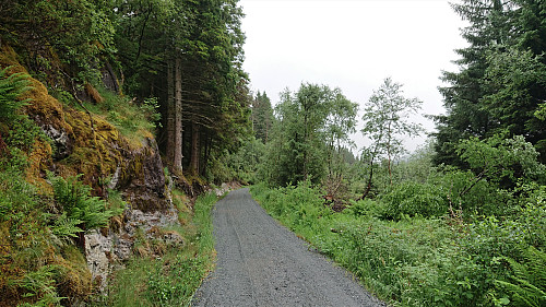 Gravel road south from Sæbøvegen