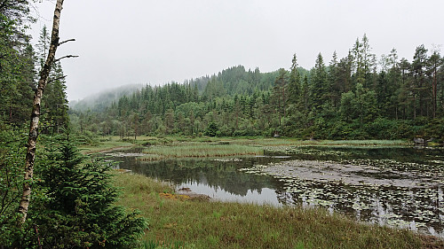 Vetåsveten appearing in the distance at Litletjørna