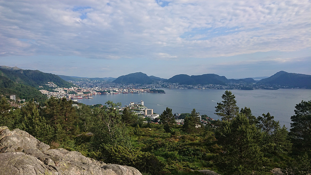 View towards the city center from Ørneberget