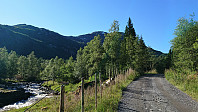 Gravel road to Holmane
