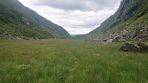 The weak trail at the start of Kikedalen
