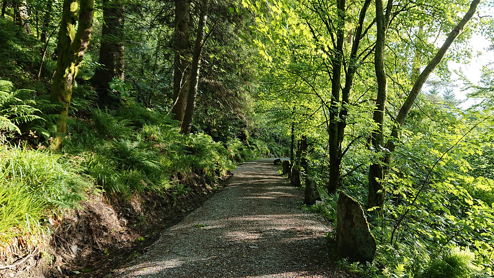 The gravel road down from Sandviksbatteriet