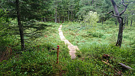The trail north from Lyseskarfjellet