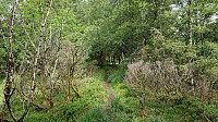 Trail towards Birkelandsfjellet