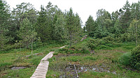 At Birkelandsfjellet