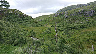Furedalen