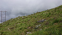 Trail markers but no trail..?