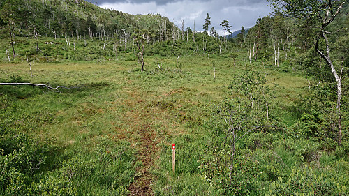 Trail towards Furedalsvatnet