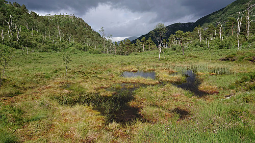 On the way to Furedalsvatnet